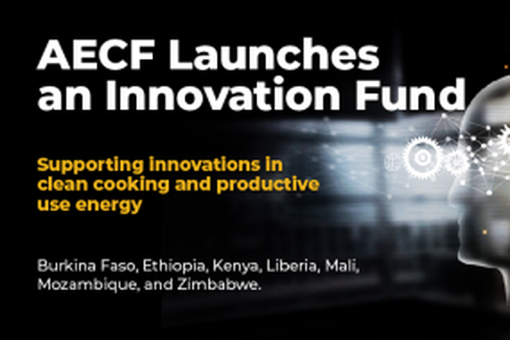 Africa Enterprise Challenge Fund (AECF)