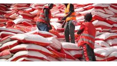 Covid-19 : Un risque de pénurie de riz plane sur le Sénégal...