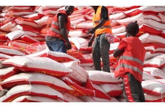 Covid-19 : Un risque de pénurie de riz plane sur le Sénégal...