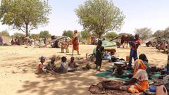 United Nations High Commissioner for Refugees (UNHCR)