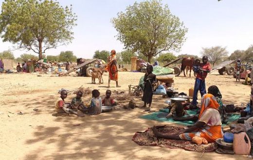 United Nations High Commissioner for Refugees (UNHCR)