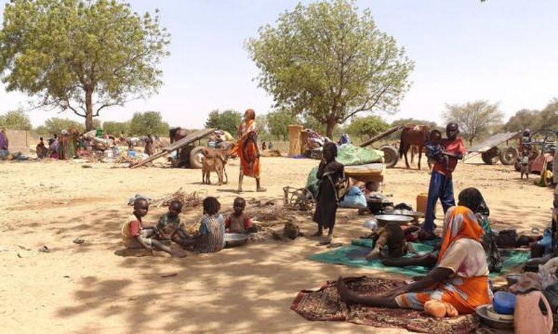 United Nations High Commissioner for Refugees (UNHCR)