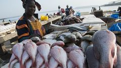 Les Sénégalais sont de grands consommateurs de poisson