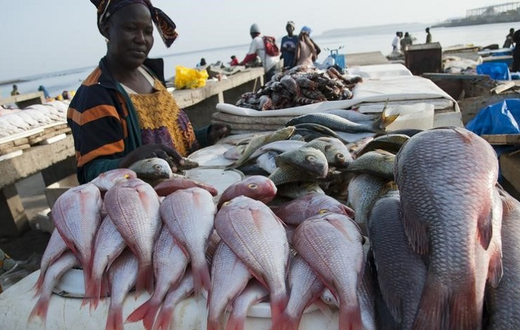 Les Sénégalais sont de grands consommateurs de poisson