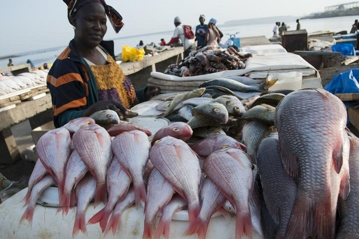 Les Sénégalais sont de grands consommateurs de poisson