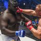mariusz-pudzianowski-vs-Serigne-ousmane-dia-ksw-64-knockout