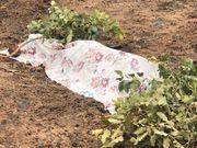 accident routier trois journalistes morts