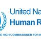 Office of the UN High Commissioner for Human Rights (OHCHR)