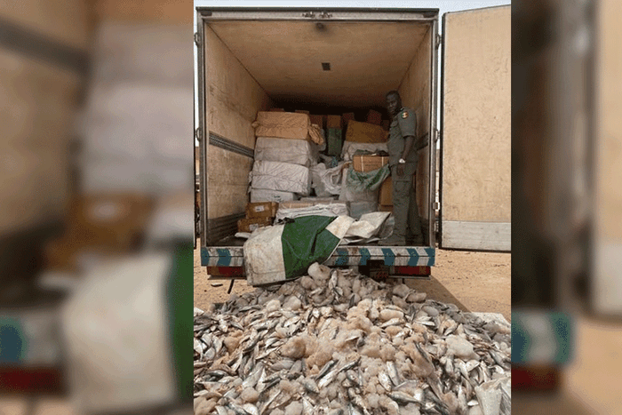 Grosse-saisie-de-médicaments