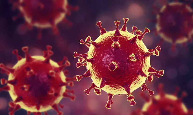 COVID-19 : 78 NOUVEAUX CAS, 3 DÉCÈS SUPPLÉMENTAIRES ET 44 PATIENTS EN RÉANIMATION