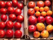 Conservation des tomates (Serious Eats)
