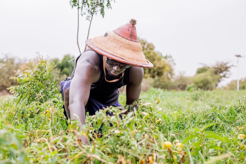 Thione MyAfricaInfos