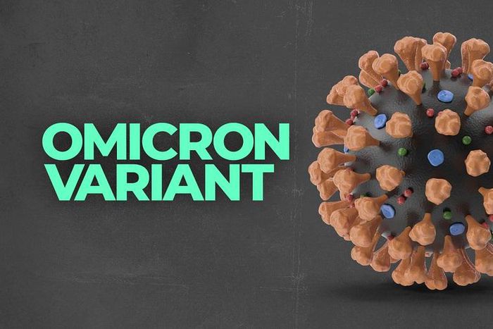 WHO advises countries to prepare for likely spread of Omicron (Nairametrics)