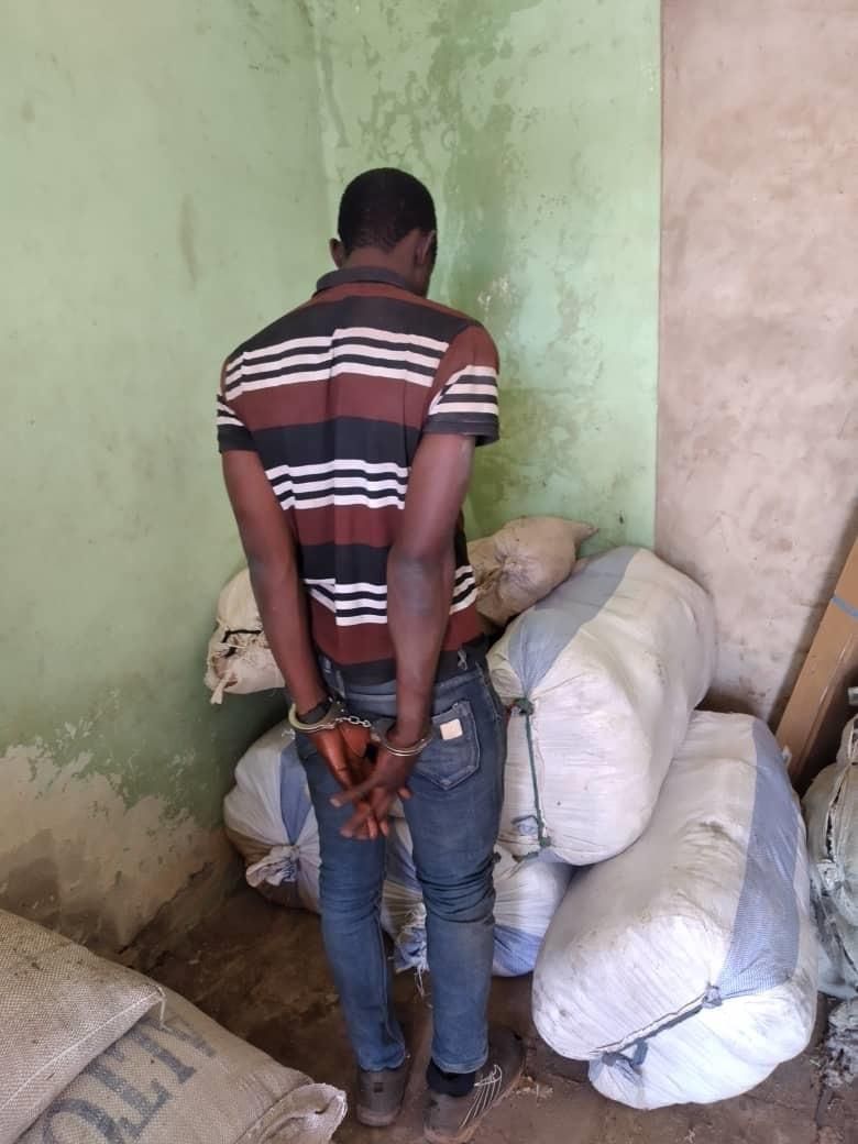 Saisie de drogue de la Douane Sénégalaise