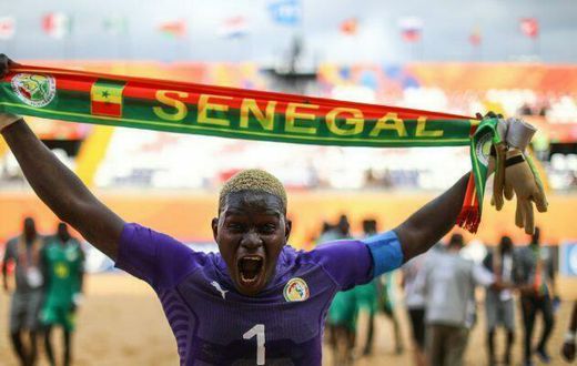 Al Seyni Ndiaye, gardien de but des Lions du sable