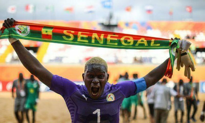 Al Seyni Ndiaye, gardien de but des Lions du sable
