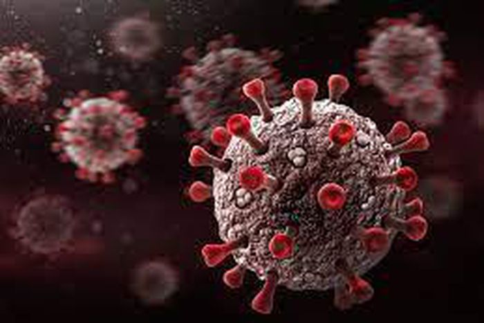 COVID-19 Delta strain