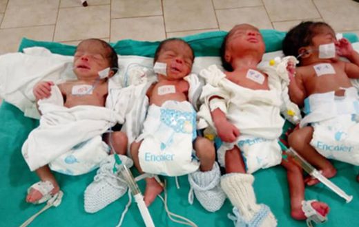 Bébés