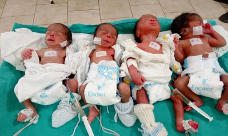 Bébés