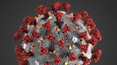 Coronavirus (image de synthèse)