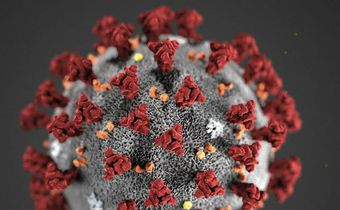 Coronavirus (image de synthèse)