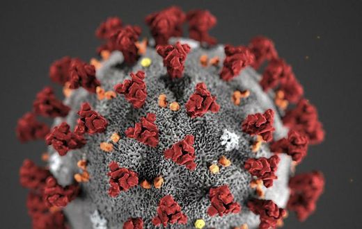 Coronavirus (image de synthèse)