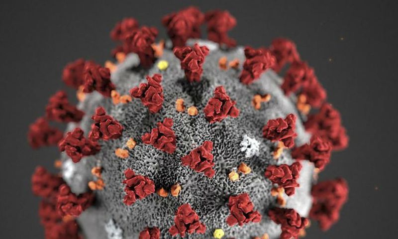 Coronavirus (image de synthèse)