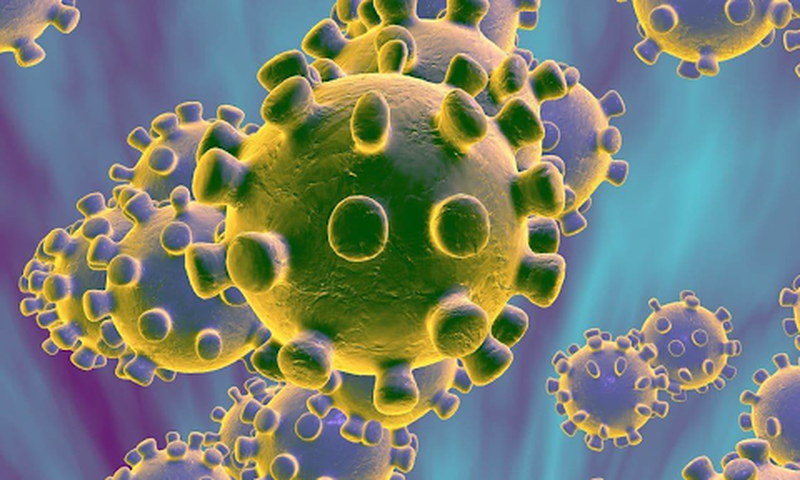 COVID-19 : 113 NOUVELLES CONTAMINATIONS...
