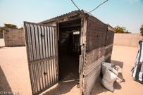 sur les trace de cheikh ibra fall (5)