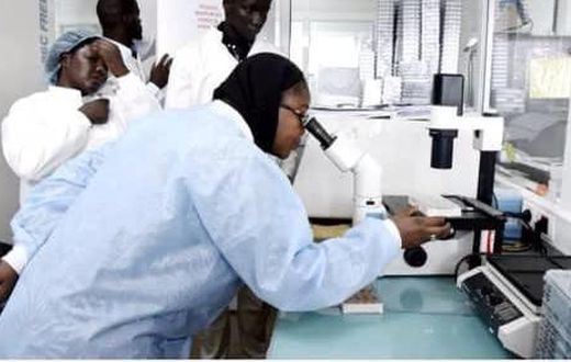 Coronavirus : 19 nouveaux cas dont 9 communautaires