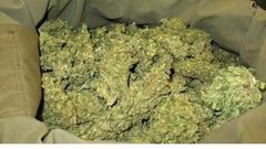 La Douane saisit encore plus d’une tonne de chanvre et 25 900 paquets de ‘‘niokette’’