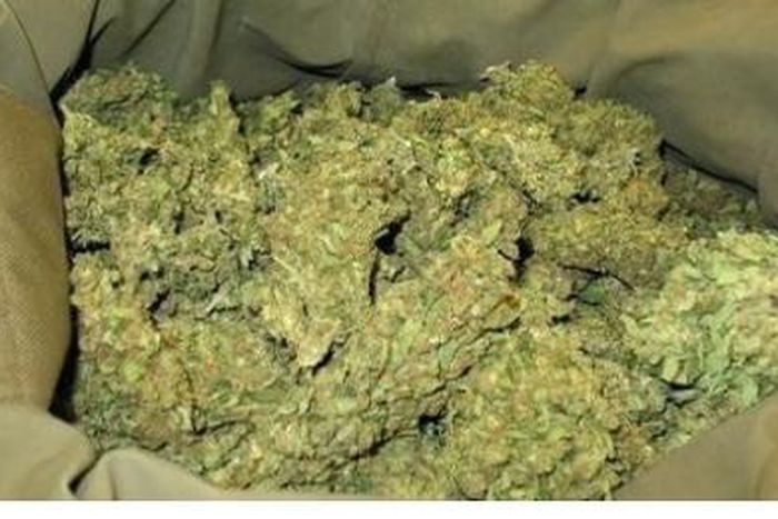 La Douane saisit encore plus d’une tonne de chanvre et 25 900 paquets de ‘‘niokette’’