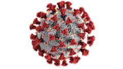 Les impacts économiques du coronavirus dans le monde.
