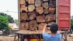 Trafic de bois
