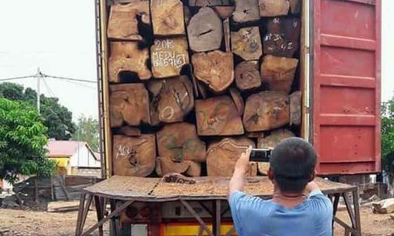 Trafic de bois