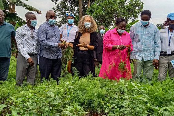 United Nations Multidimensional Integrated Stabilization Mission in The Central African Republic (MINUSCA)