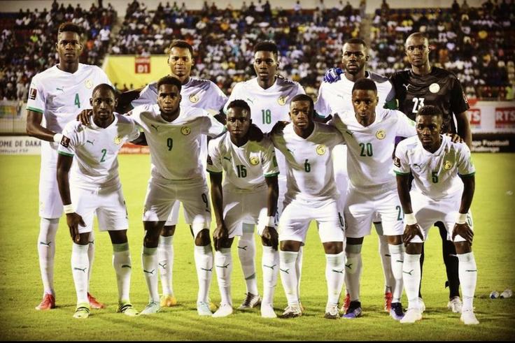Les lions du Sénégal