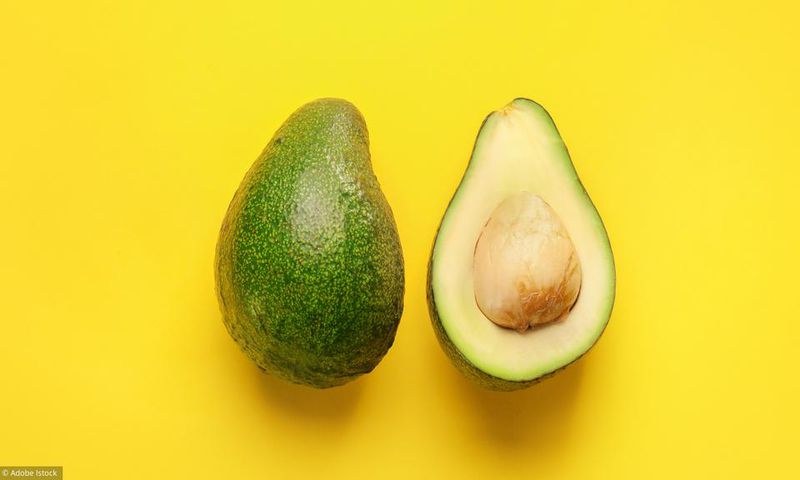 avocat-dietetique