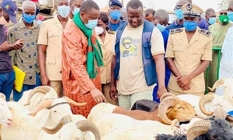 Tabaski 2021 : L’approvisionnement en moutons menacé