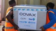 COVAX coronavirus vaccins
