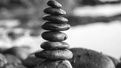 La patience arrive à bout de tout