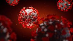 covid-19 coronavirus
