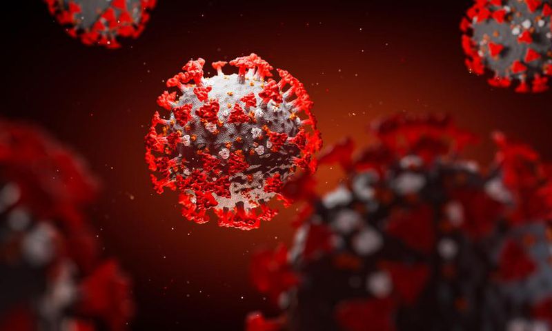 covid-19 coronavirus
