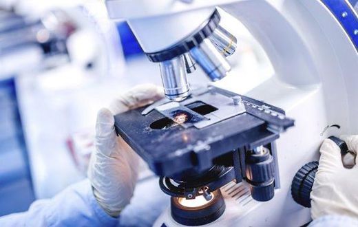 COVID 19 : AUCUN DÉCÈS ENREGISTRÉ, BAISSE DES CAS IMPORTÉS ET DES CAS GRAVES 