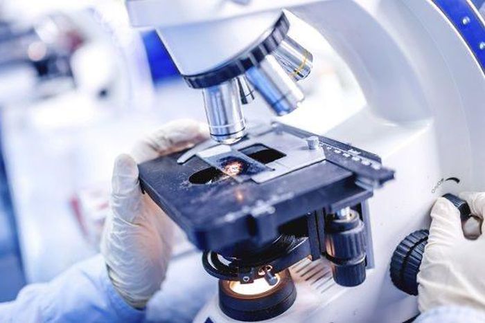 COVID 19 : AUCUN DÉCÈS ENREGISTRÉ, BAISSE DES CAS IMPORTÉS ET DES CAS GRAVES 