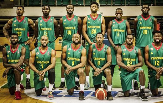 Les-Lions-du-basketball