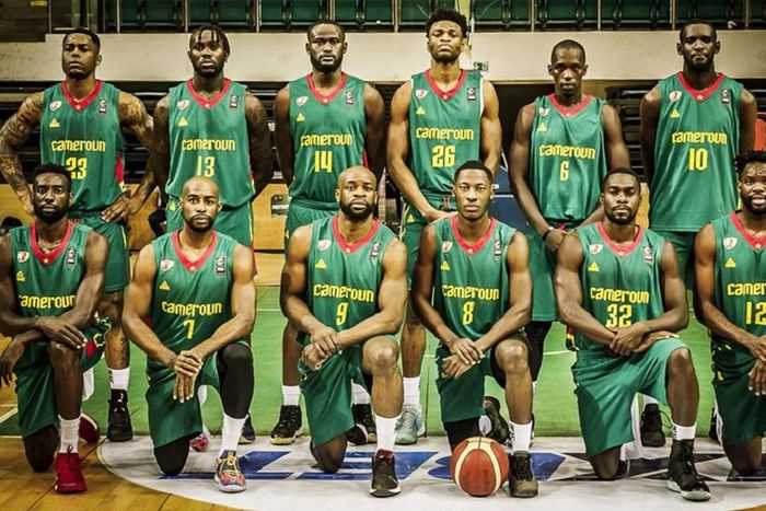 Les-Lions-du-basketball