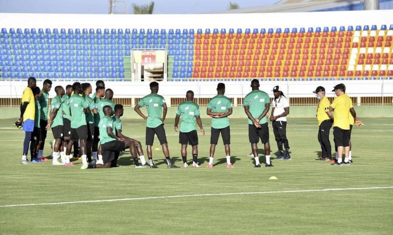 Les lions en séance d'entrainement au stade Lat-Dior