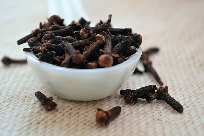 le-clou-girofle-puissant-antiseptique-naturel
