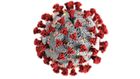 An illustration of the new coronavirus, SARS-CoV-2, which causes COVID-19.